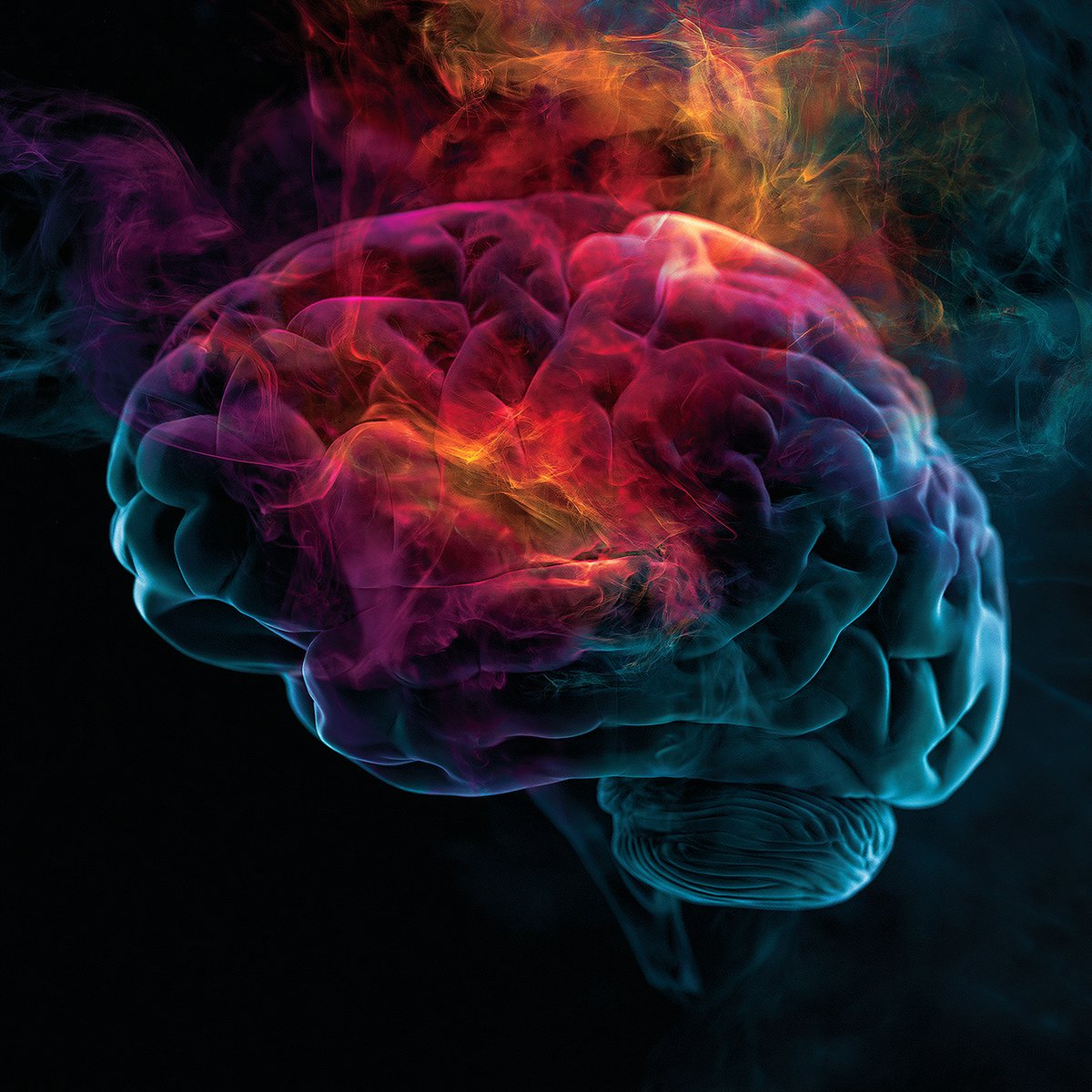 Fractal neural network — a brain in multicolored detail