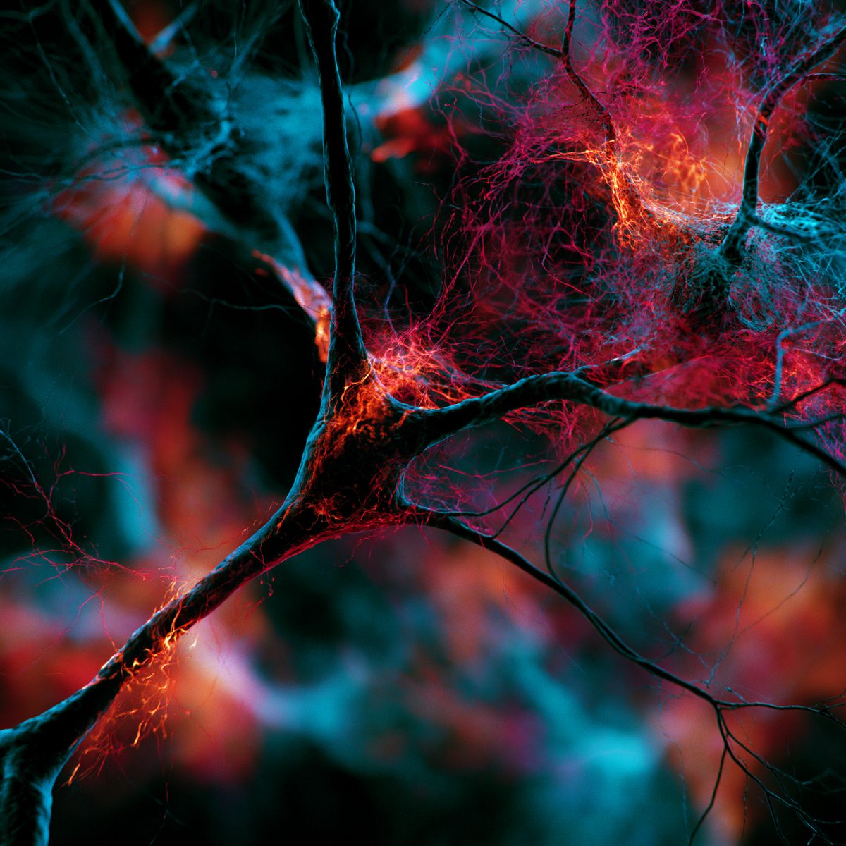 Fractal neural pathways